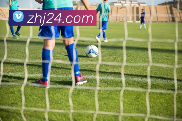 开云app平台生态图